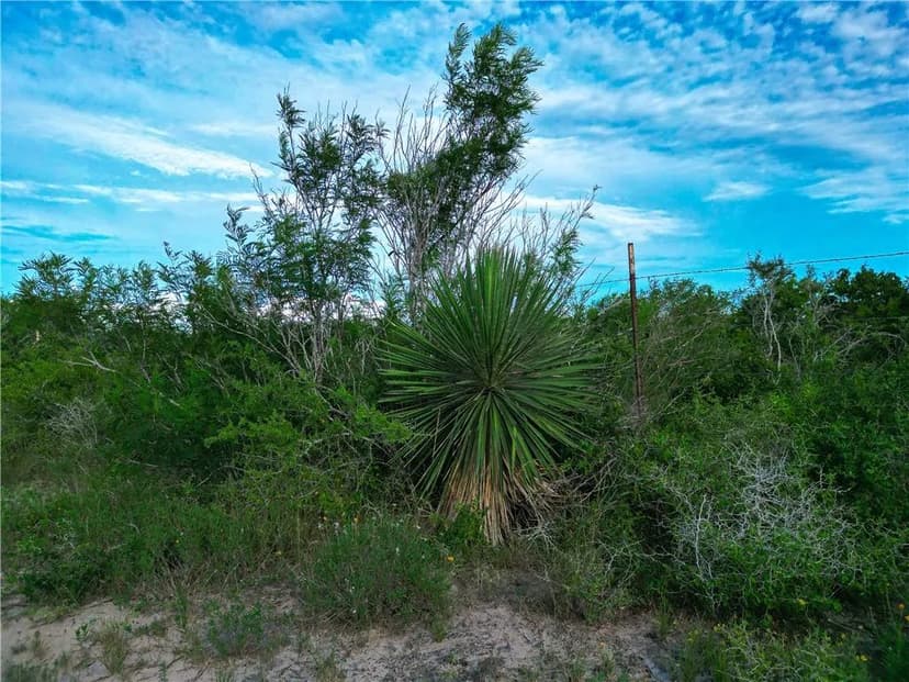 Property from 8986 FM 673 - KW