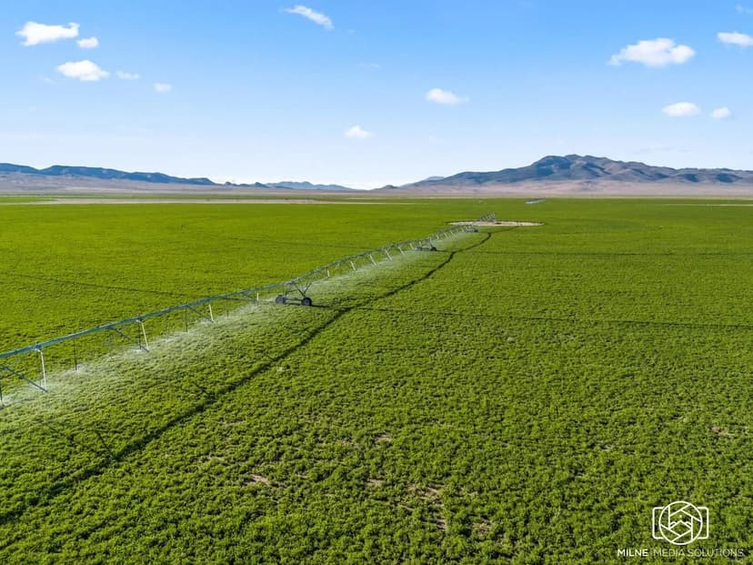 Antelope Valley Farm