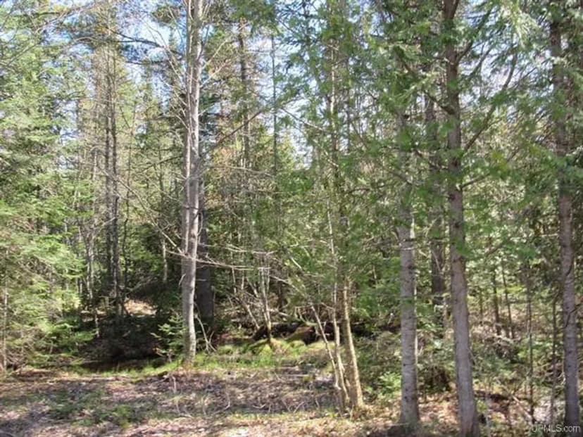 Recreational 6 Acre Parcel 50143060