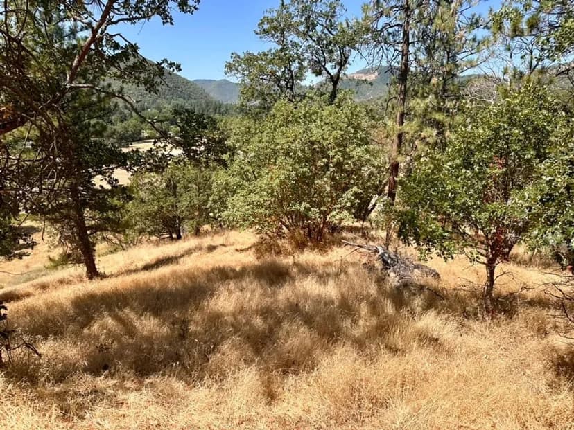 1400 N 7th Ave Gold Hill, OR 97525