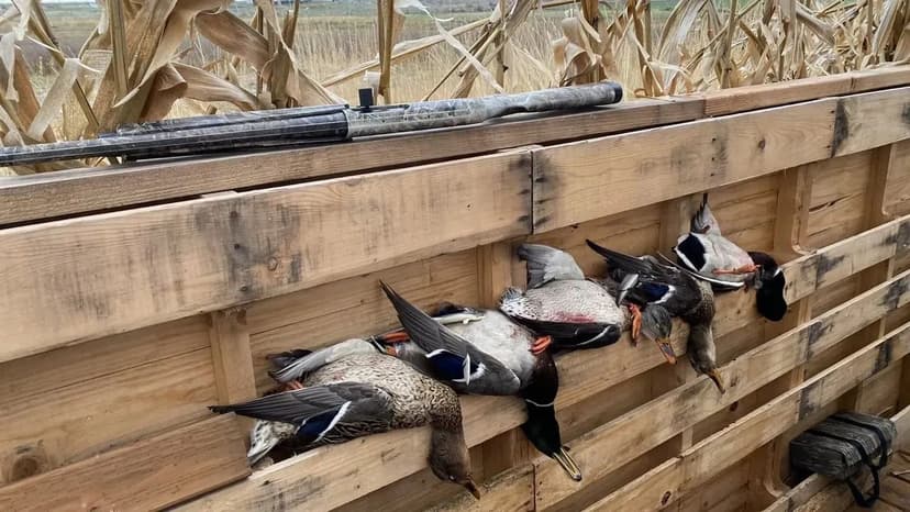 Irrigated ground/Exceptional Duck Hunting Grounds with buildable lots for a hunting retreat.