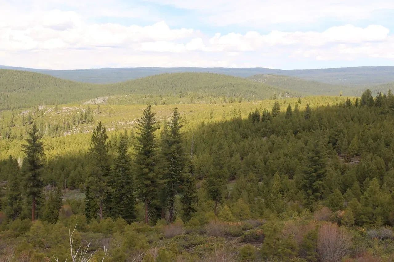 Tower Spring Acres - Bly, Oregon, 97622