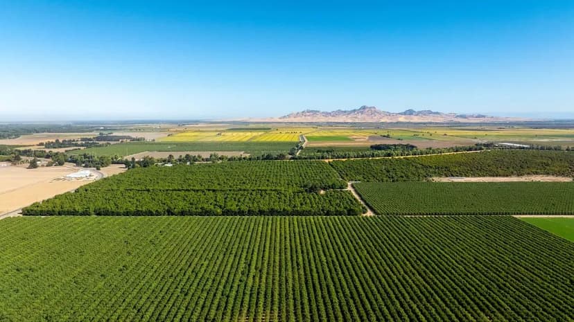 Grand Island Orchard & Headquarters