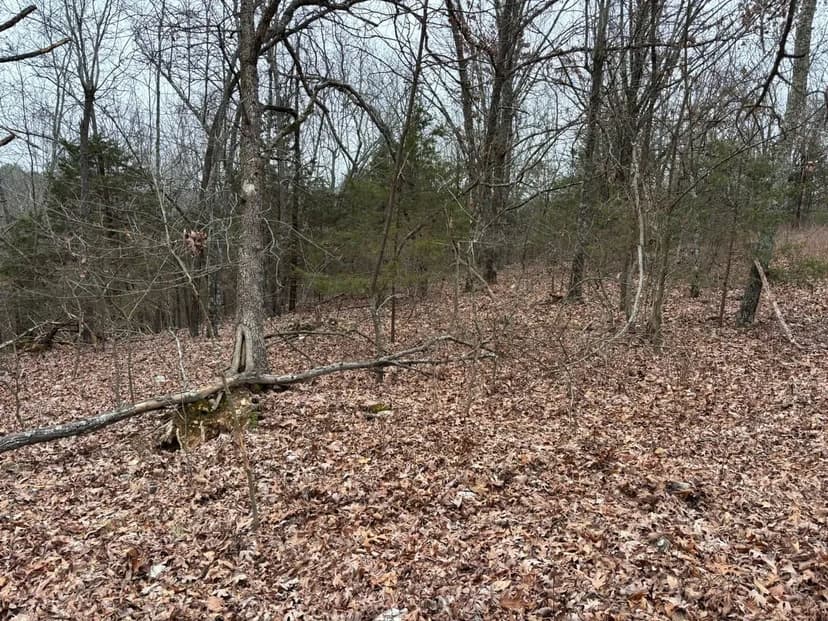 Ozark Tomato Cannery