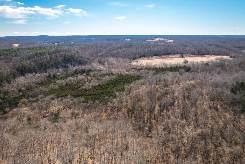 Cast &amp; Blast Courtiois Creek Farm