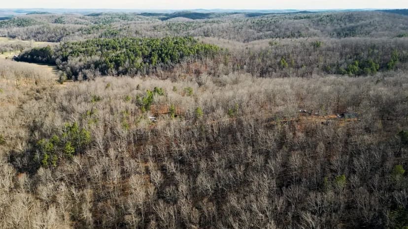 Winona Pioneer Point