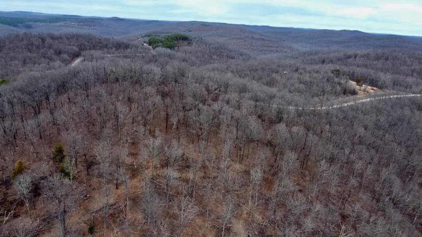 The Headwaters National Forest Get-Away