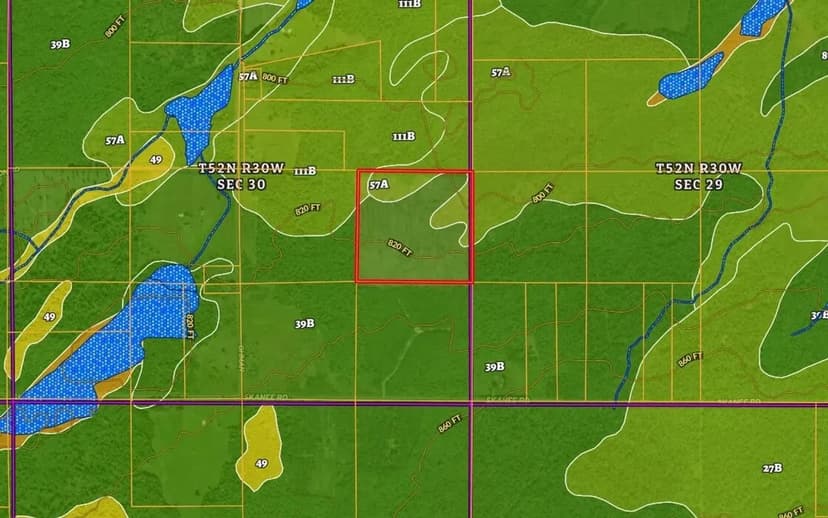 Michigan 40 +/- Parcel 50172299