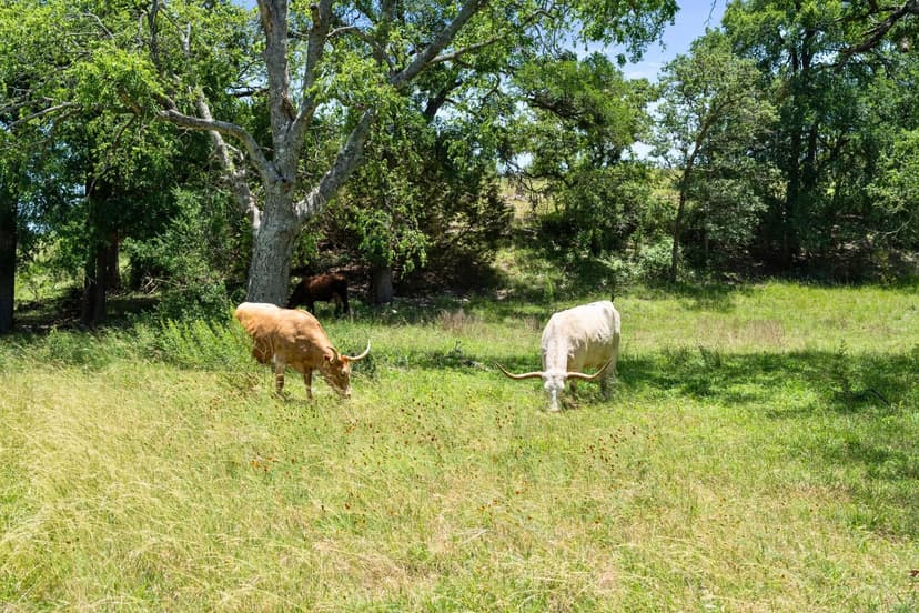 577 Cattle Creek Rd, Johnson City, TX 78636