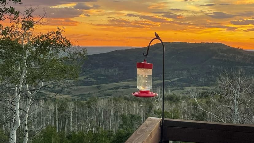 Quaker Mountain Circle Cabin