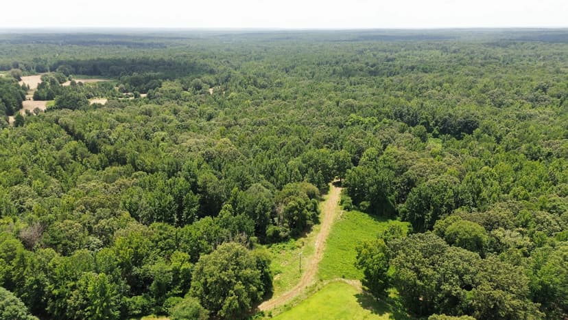 80 Acres in Tallahatchie County in Grenada, MS