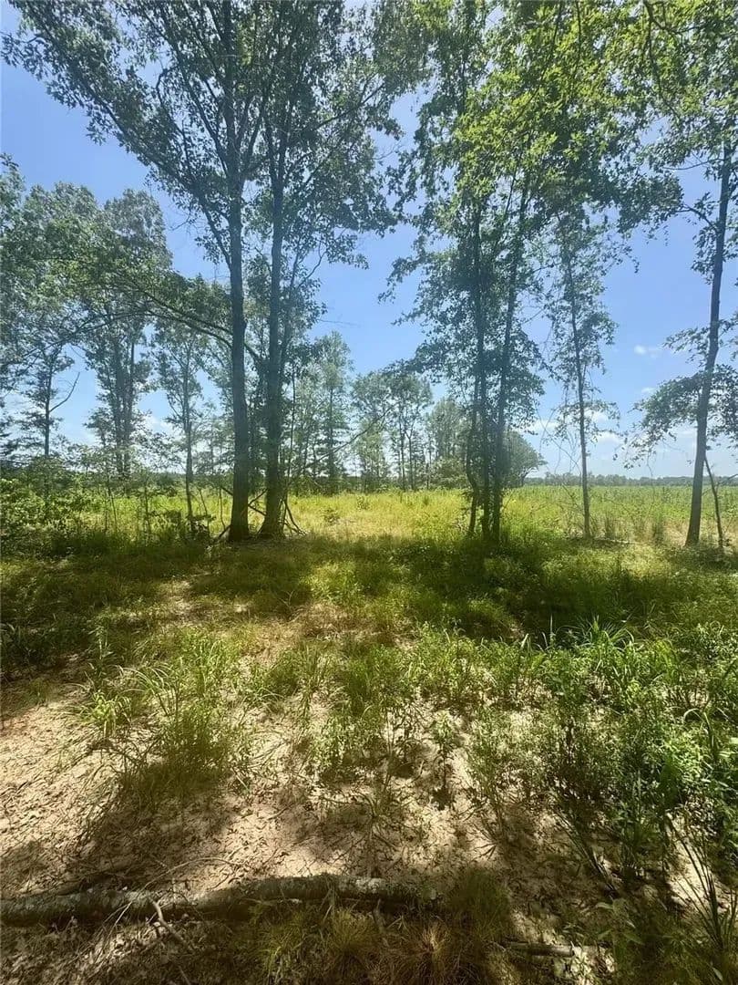 0000 County Road 4307 De Kalb, TX 75559