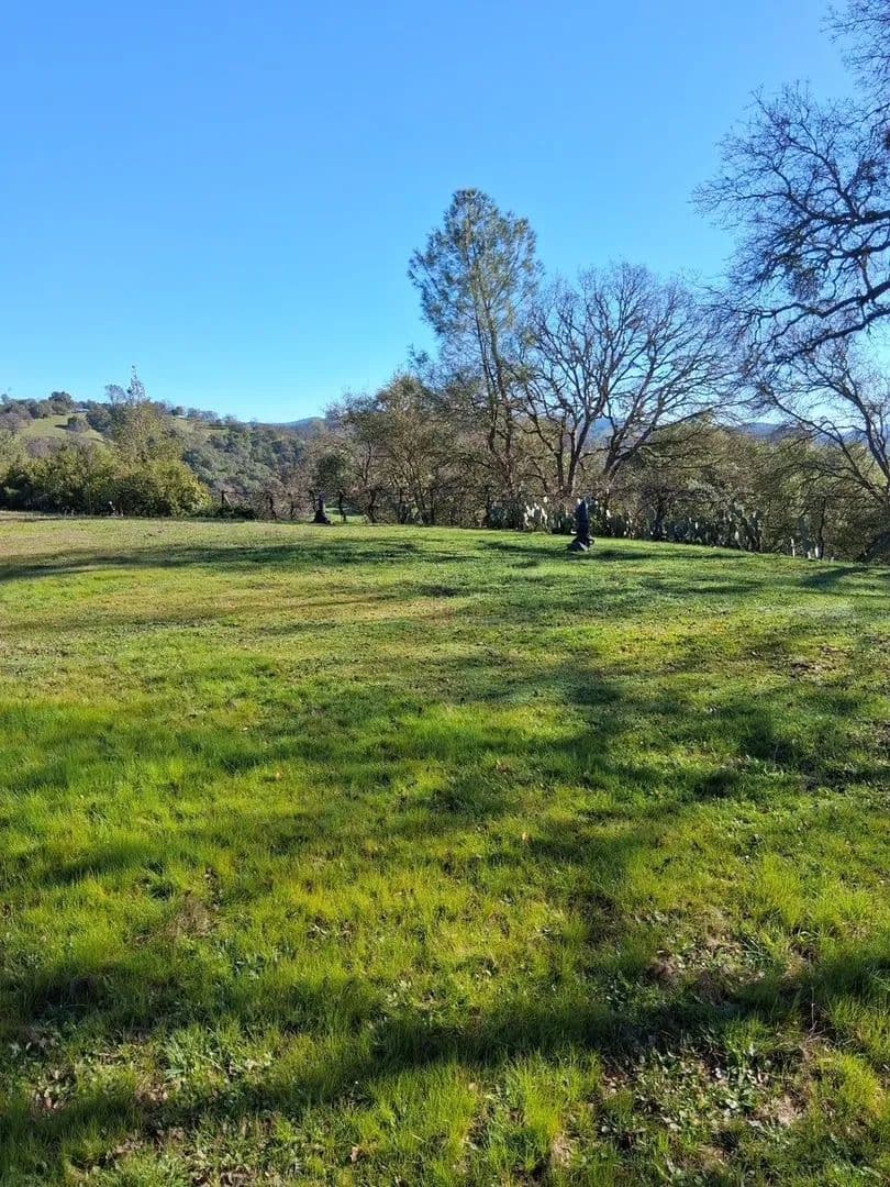 Lots & Land-Other in San Andreas - San Andreas, California, 95249
