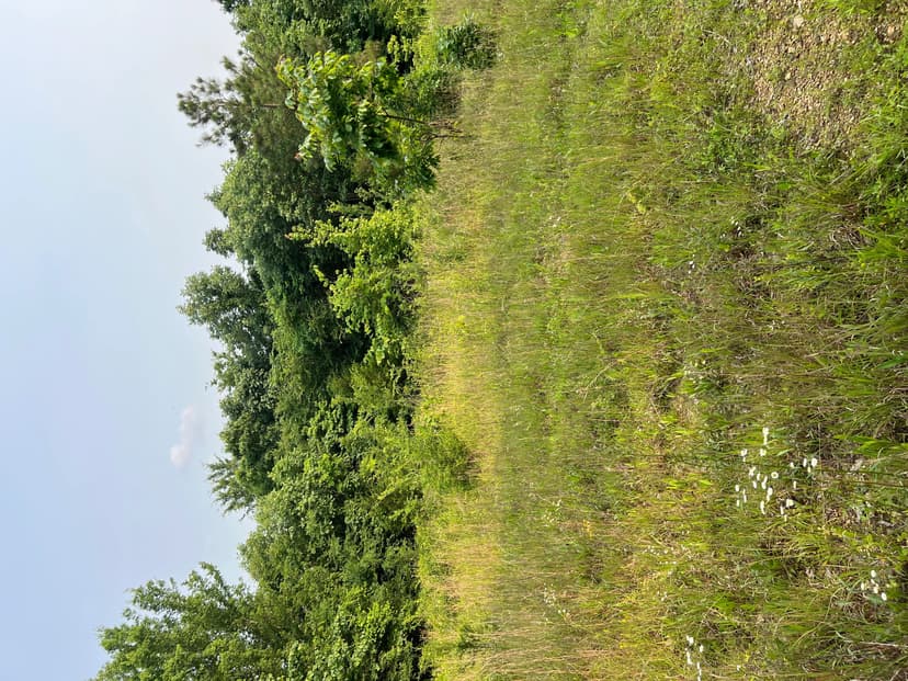 734 acre recreational tract in TN