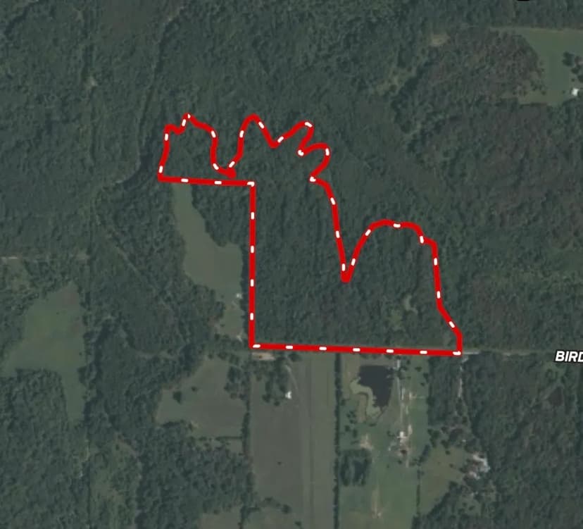 000 Birdwell Church Road