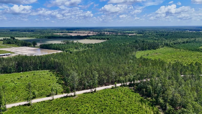 Bennett Mill Pond Preserve – 203 Acres of Prime Timberland & Wildlife Habitat in Odum, GA