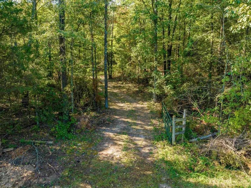 123 +/- Acres, Whaley Creek on property, Hunting, Timber, Cave City, Arkansas