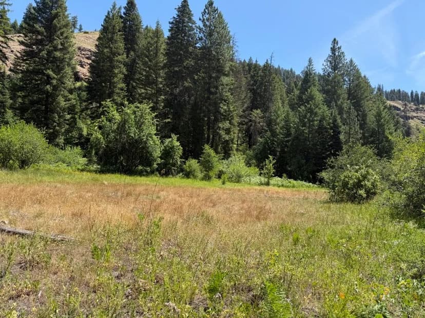 Wallowa River Paradise