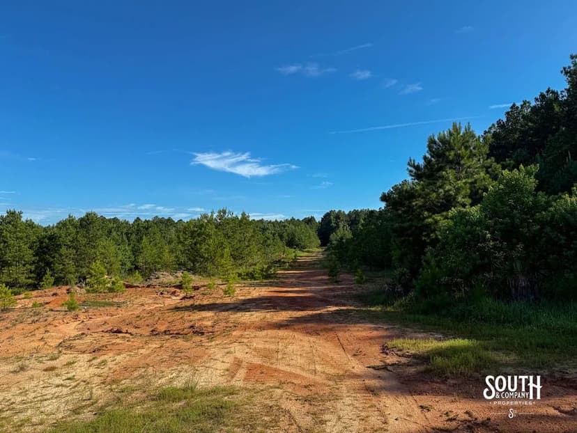 275+/- Acres J. M. Burge Road, Lamar County, MS (Bellevue Area)