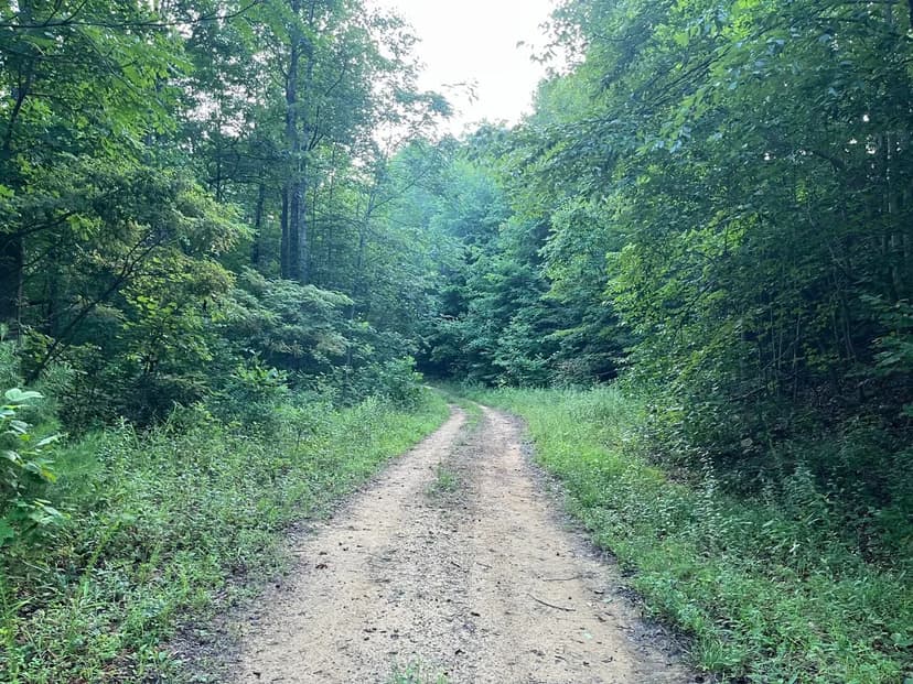 Bull Creek Gas, Oil and Coal 4355