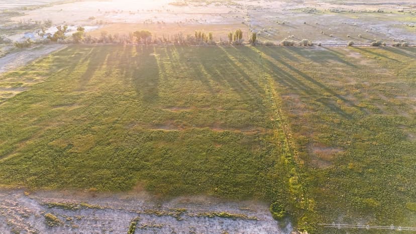 Lower Miller Creek Farm