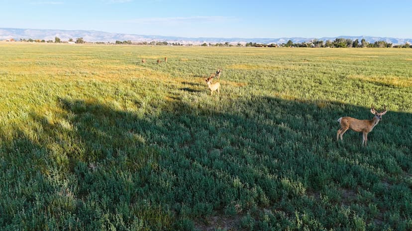 Lower Miller Creek Farm
