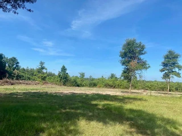 45 Acres | Plainview, LA