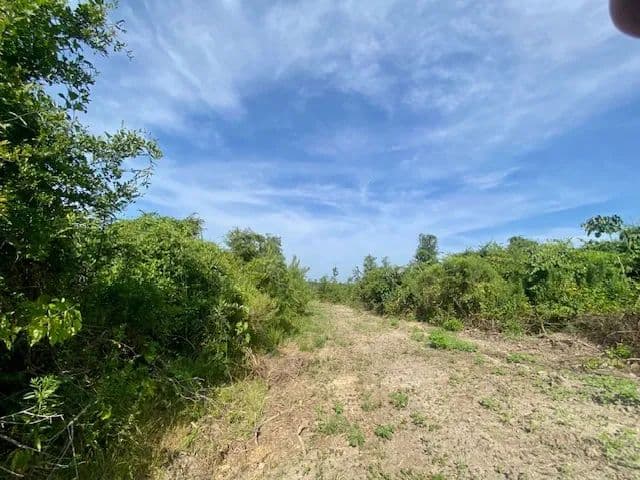 45 Acres | Plainview, LA