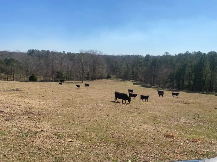 Mann Creek Retreat