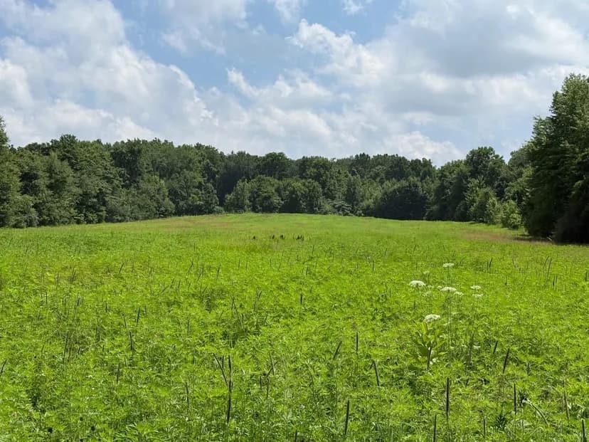5 Acres In Poland, Indiana