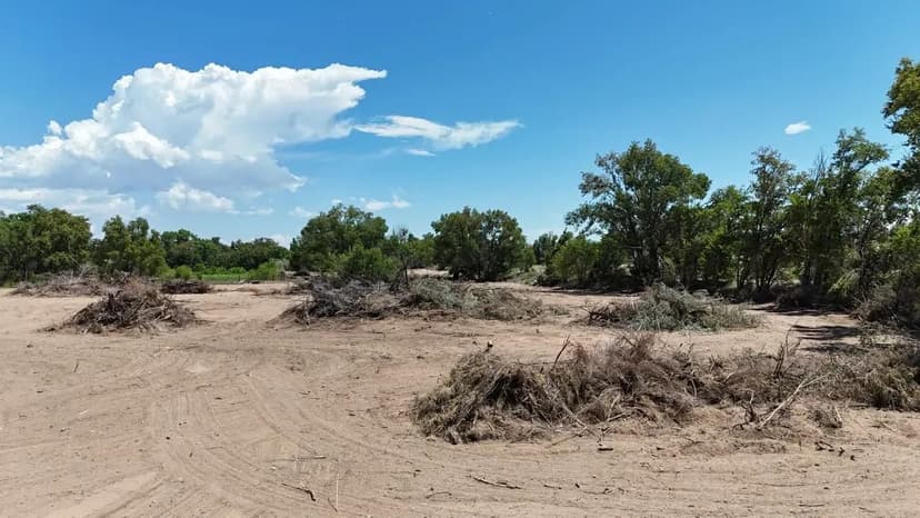 Lewis Lane 7.9 acres Pena Blanca