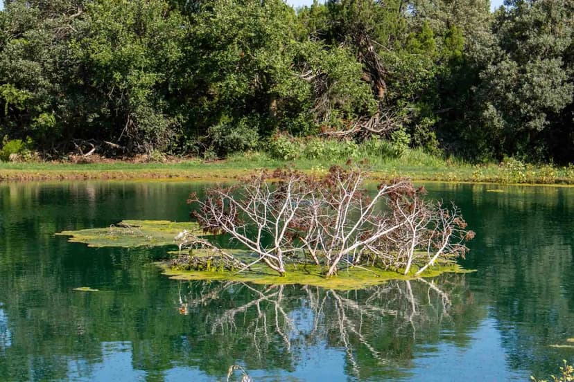 Whistling Winds Ranch 320 Acres 