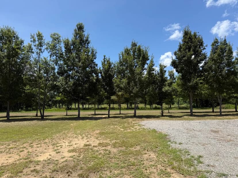 LA - Richland 310 acres +/-