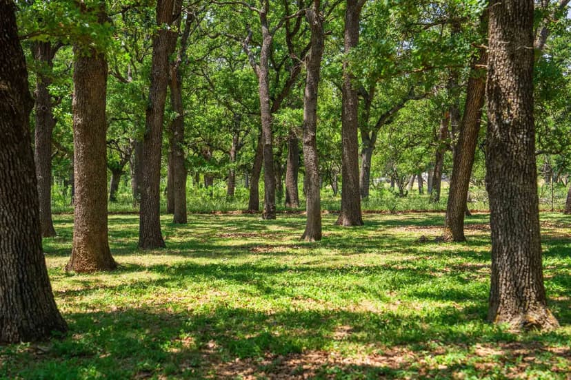 Gillespie County | 221 Pyka Road | SW of Fredericksburg