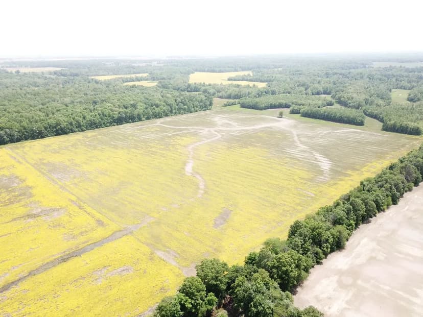 000 County Road 275E Keenes IL 40 acres