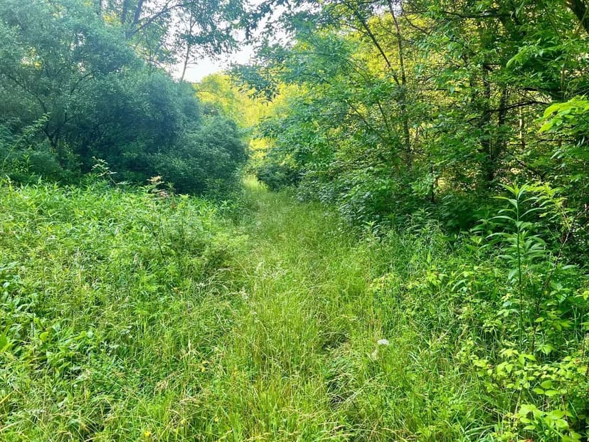 Cross Creek's Hidden Gem