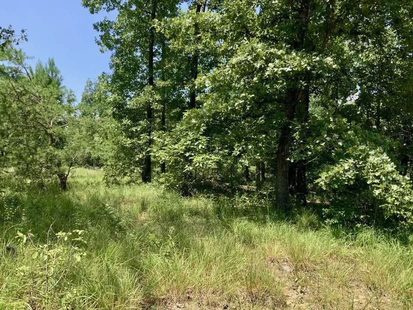 170-Acre Hunting Property minutes from Kentucky Lake