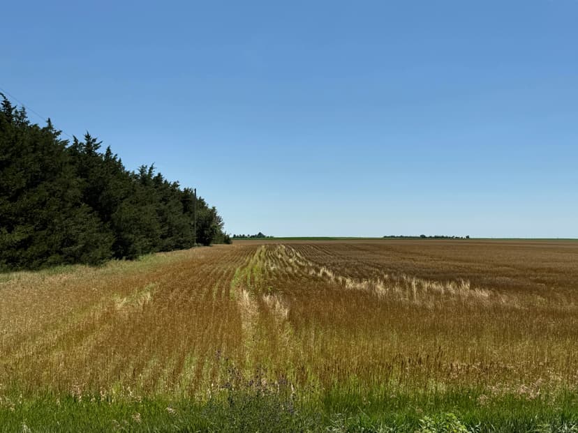 Perkins County Dry Cropland
