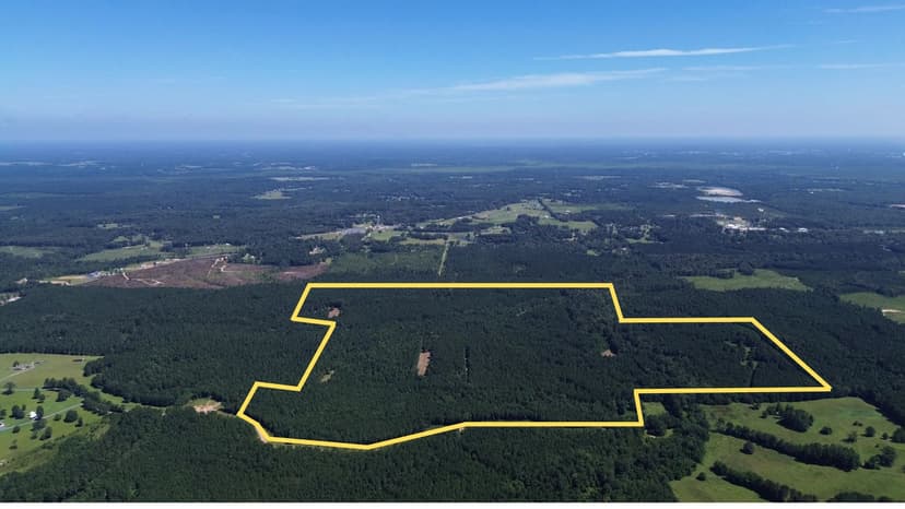 Lapine 216 Multi Use Recreational Timber – Ouachita Parish