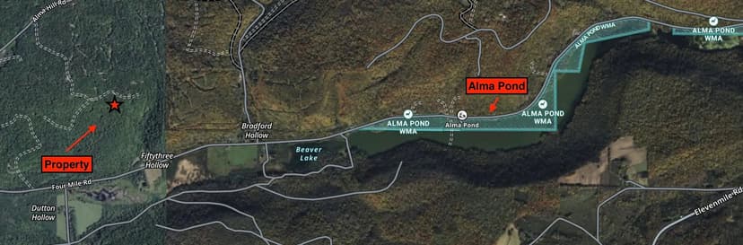 34 acres Cabin with Hunting Land in Alma NY County Road 38