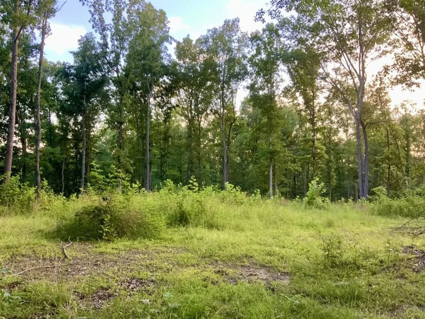 70.36 Acres in near Lake Barkley in Stewart County Tennessee