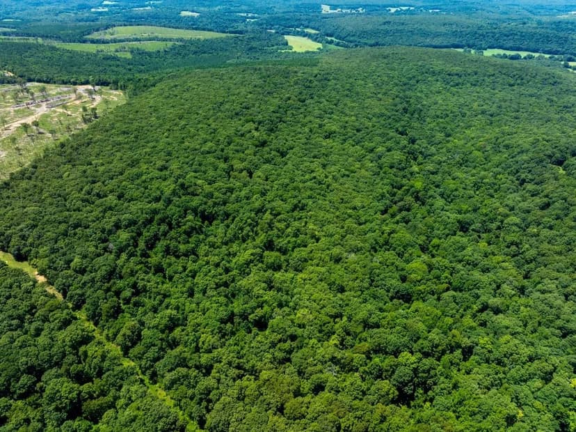 80 +/- Acres, Mature Timber, No Easement, Independence County, Arkansas
