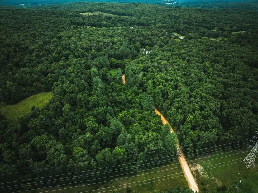 20 Berryman Cutoff Road, Steelville,MO