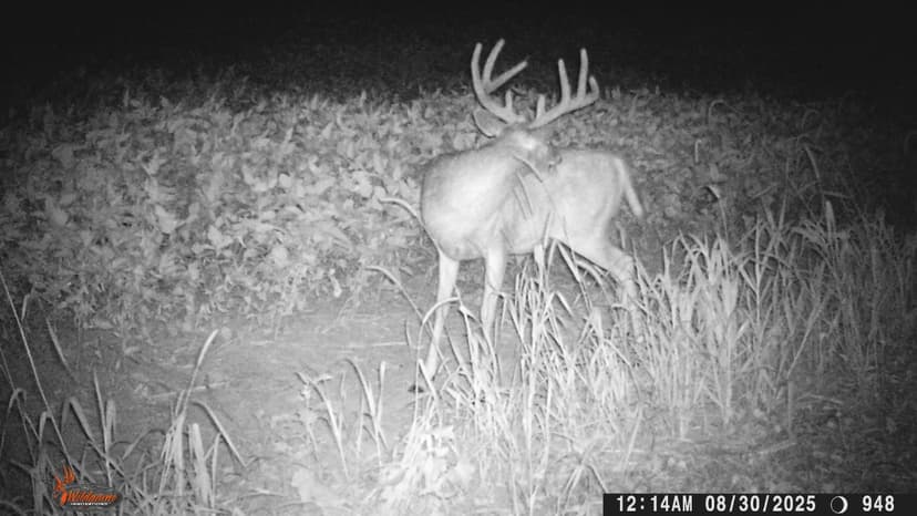 TBD W 182nd St, Eagleville, MO