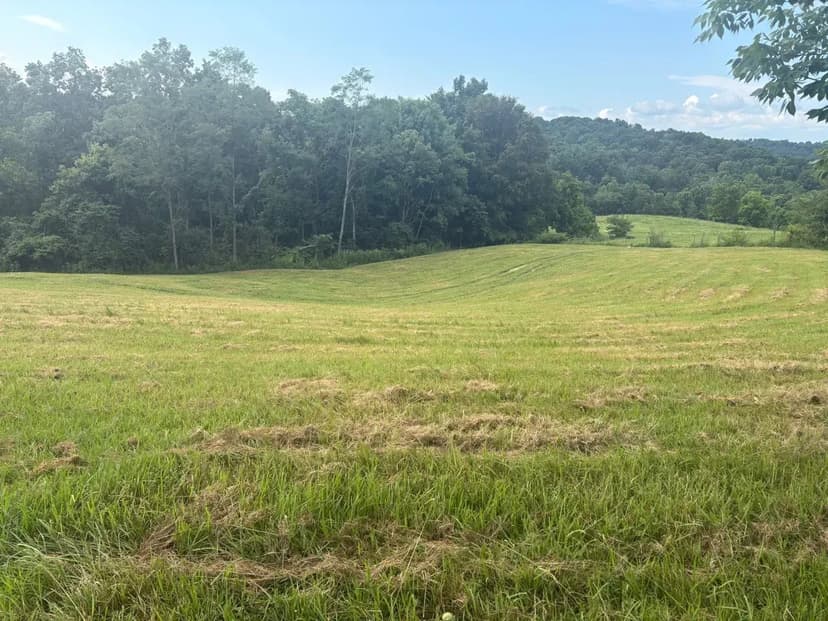 38 acres with road frontage