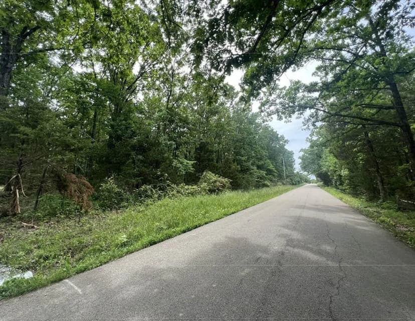 21+/- Acre Timber Property For Sale in Farmington, MO