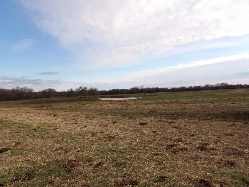 70 ACRES RANCH /RECREATIONAL PROPERTY