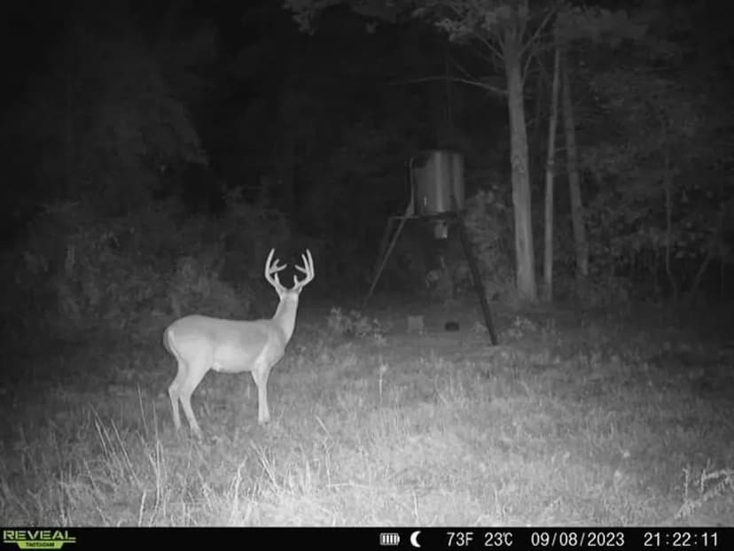 0000 County Road 4418 Avery, TX 75554