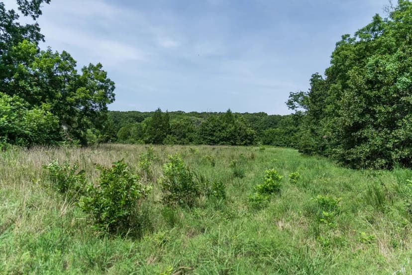 239 Homestead Ranch & Hunting Property