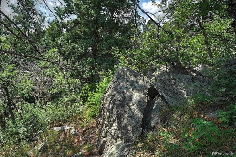 13884 N Trail Circle, Littleton, CO 80127